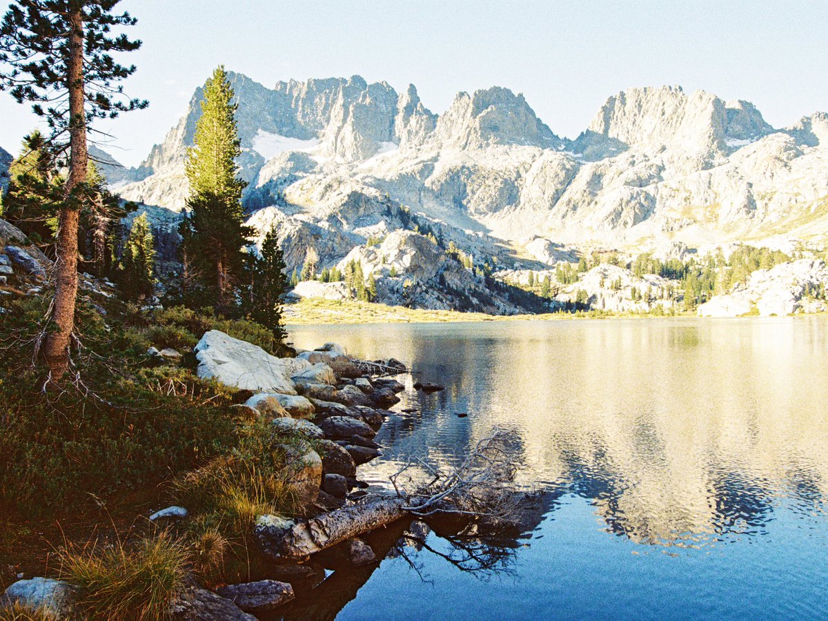 bradmbaldwin's tweet photo. From a Fall morning in the Sierras 🎞️ https://t.co/ouVMdth1VY
