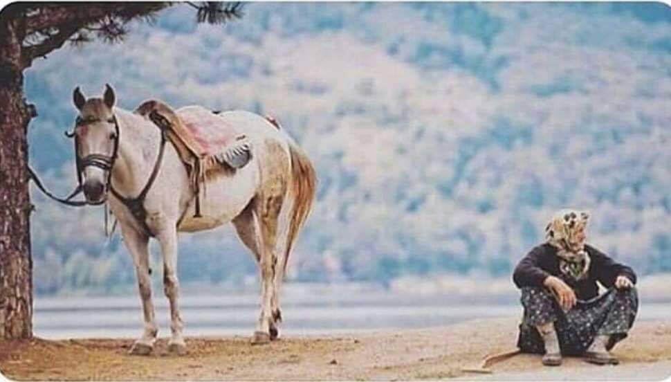 LisanHal06's tweet photo. Burası dünya .
"Sen yorgunluk diyarında, rahatlık arıyorsun!"

Maverdi https://t.co/oqOXsbOgNh