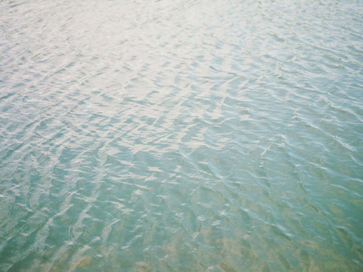 Tim Riddick tweet media