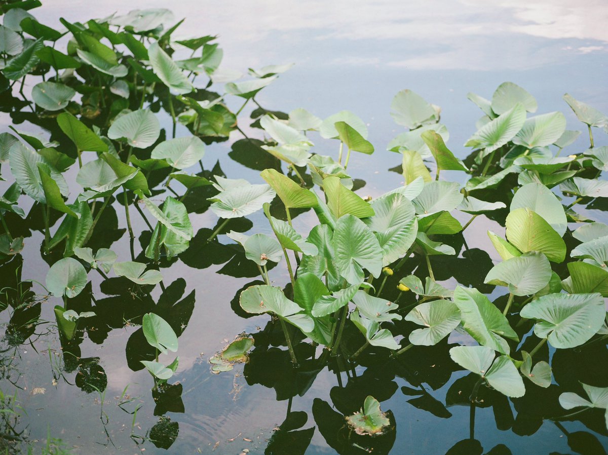 Tim Riddick tweet media