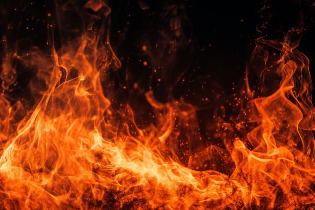 Cyber F │⬣⎔TCG⎔⬣ tweet media