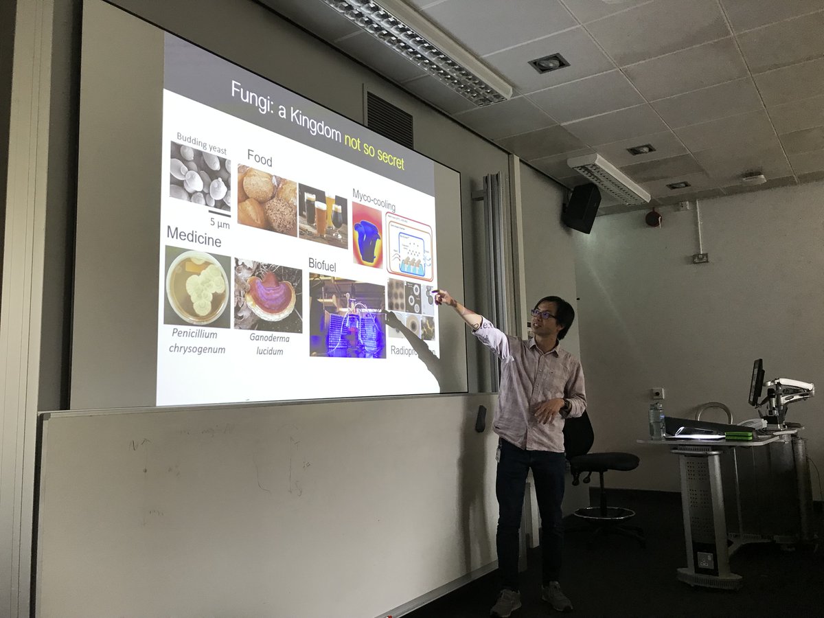 IMIBirmingham tweet media