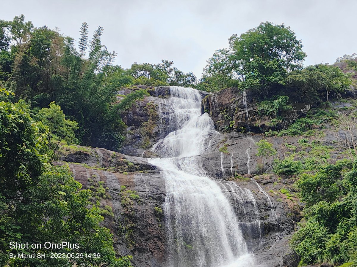MarutiShivanaik's tweet image. ಮಳೆ ಬರ್ತಿದೆ.. ಇನ್ಯಾಕೆ.. ತಡ.. ಈ ಮಾನ್ಸೂನ್ ರಾಗ miss ಮಾಡ್ಕೊಬೇಡಿ.. 😘😍🌧🏔🏞 .. 📍ಇದು ಇಡುಕ್ಕಿಯ @cheeyapparawaterfalls...
..
..
..
#cheeyapparawaterfalls #devikulam #iddukki #idukkivibes #photooftheday #beautiful #nature #happy #travel #follow #instadaily