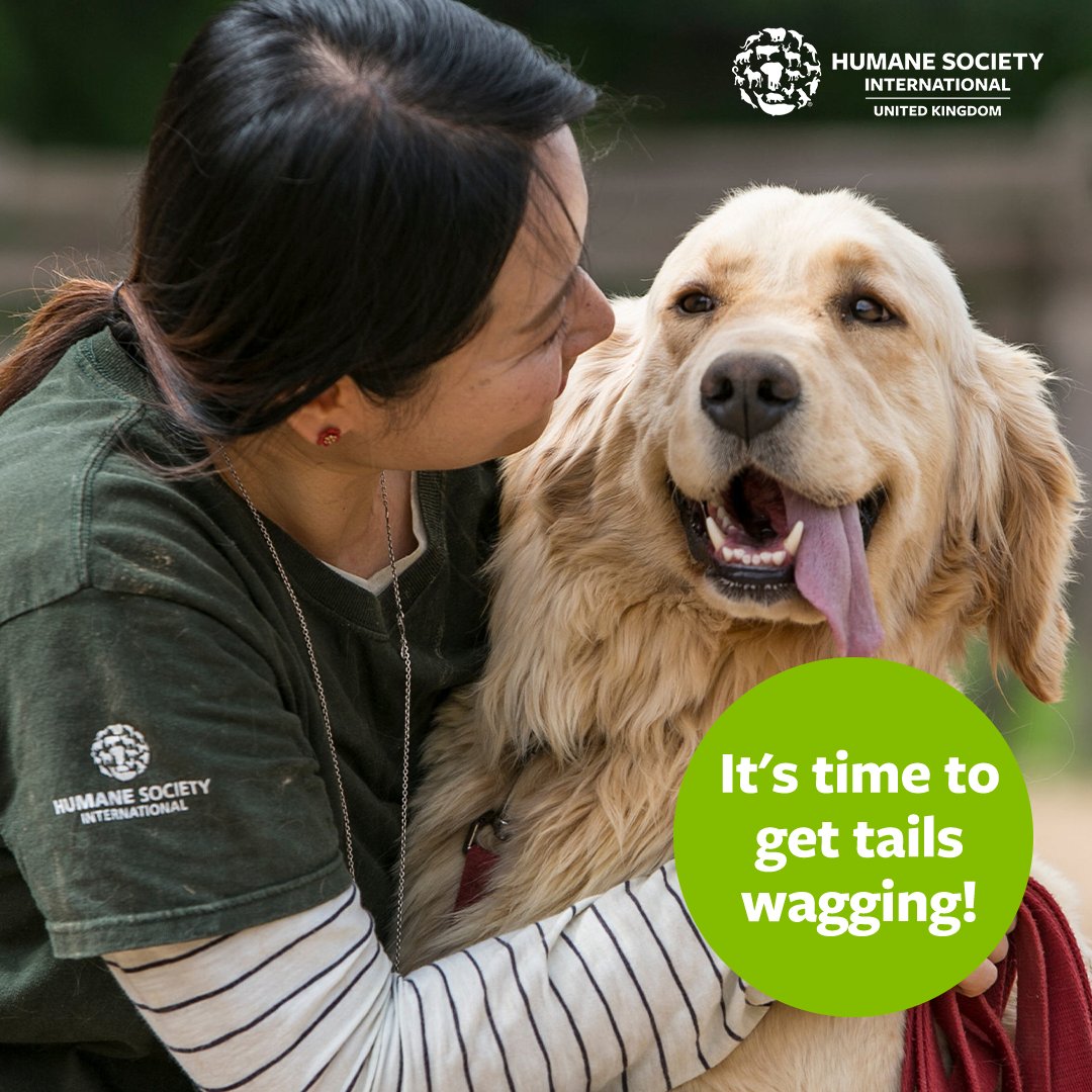 NEW CLIENT: Really happy to announce that we are working with @HSIUKorg  - It's time to get tails wagging! 🐕 We'll be working with the organisation to improve farm animal welfare, protect wildlife, promote animal-free testing and research