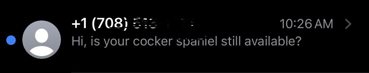 Somebody wrongly put my cell phone # on the internet listing a cocker spaniel… 🐕🤣