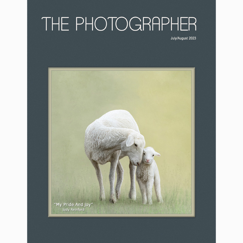 Judy Reinford @judyreinford takes the cover of the July/August 2023 issue of The Photographer Magazine.  Her image, "My Pride and Joy" won a Trophy for Best Portrait of an Animal at the 2023 TPPA Image Competition.  Nice going, Judy. tinyurl.com/3waz7yzy