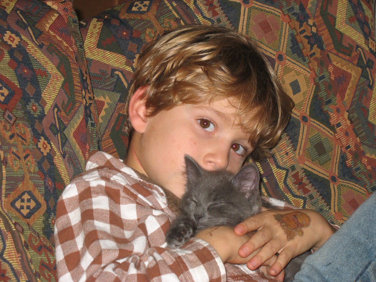 gabefoxxo's tweet photo. lost Cassie this morning

15 years she grew up with me as much as I grew up with her ✌️ https://t.co/GylcvyE952