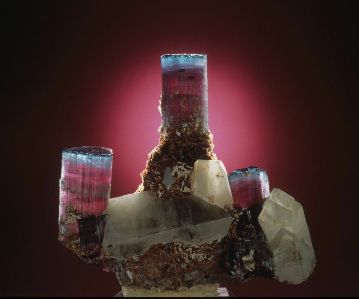 Jim Bremner tweet media