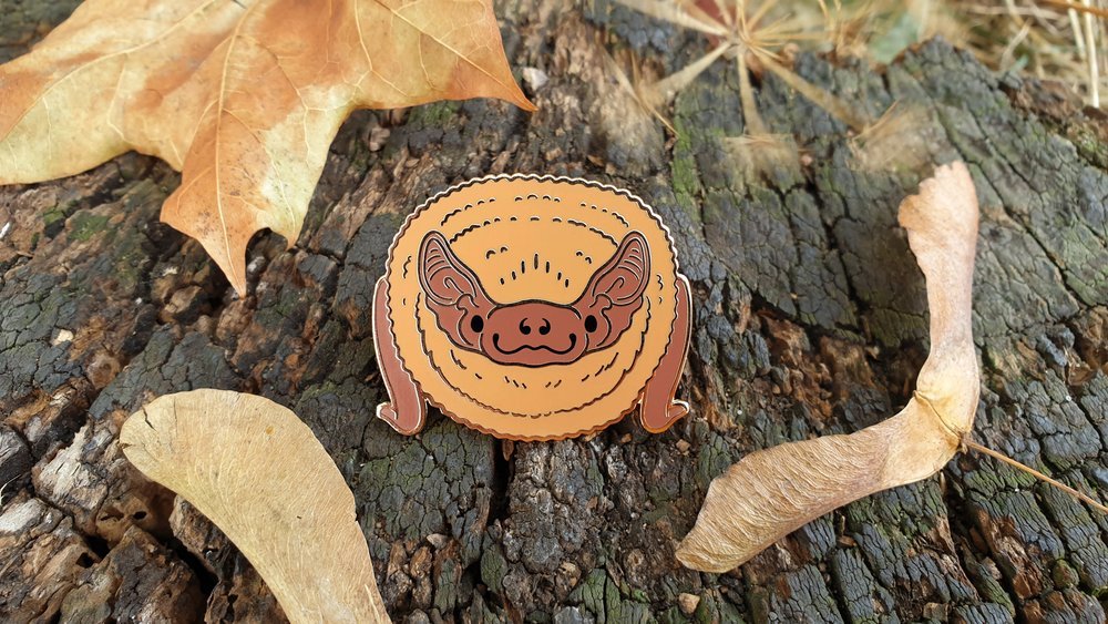 Emma Reynolds 🦇 tweet media