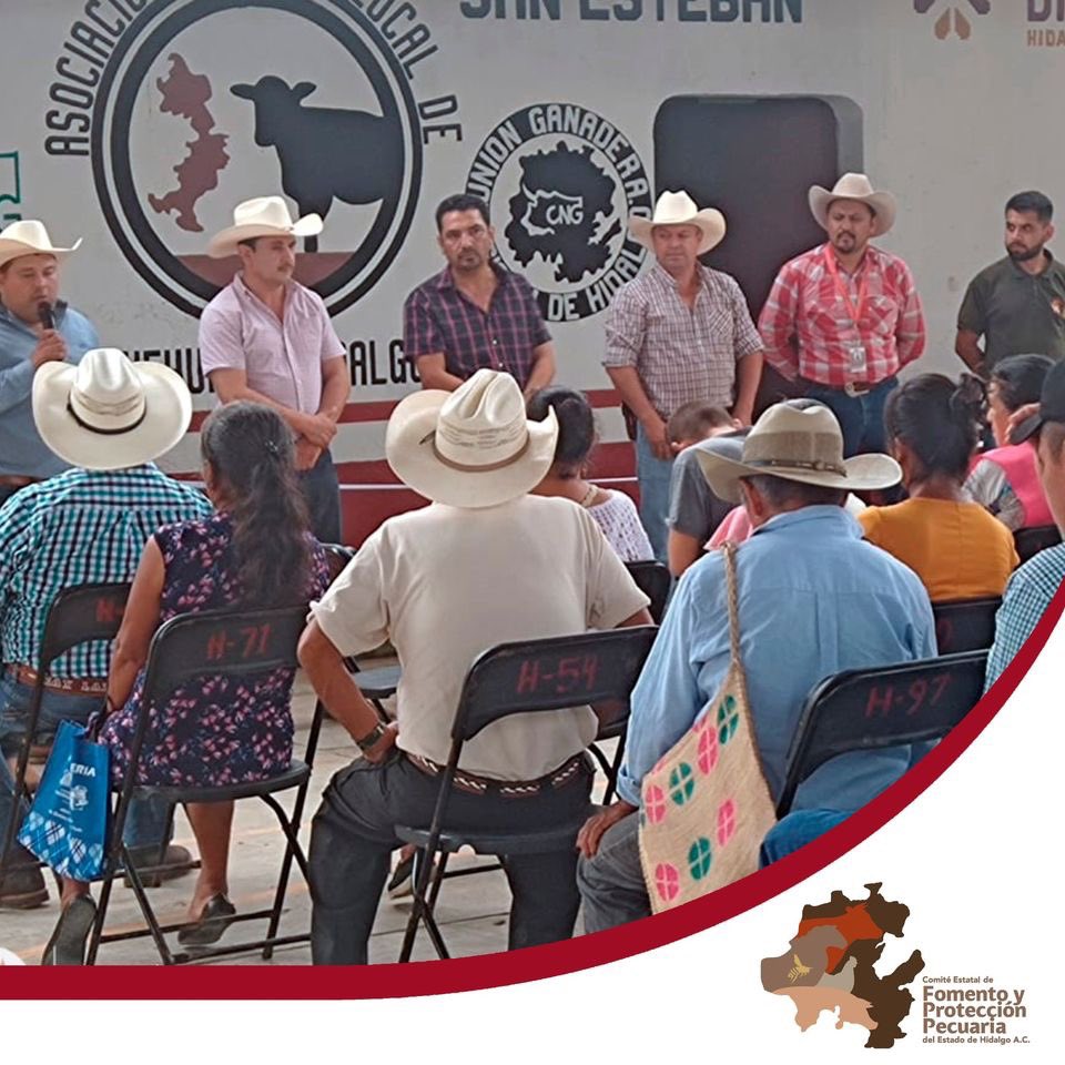cefpphidalgo's tweet image. En representación del Mtro. Manolo Gabriel del Toro Valdés, Presidente de este Comité, el M.V.Z. Santiago Cerón, acudió a la inauguración del Centro Expedidor REEMO de la zona norte de Huehuetla, donde brindó la capacitación con el tema &quot;Movilización de ganado y REEMO&quot;.