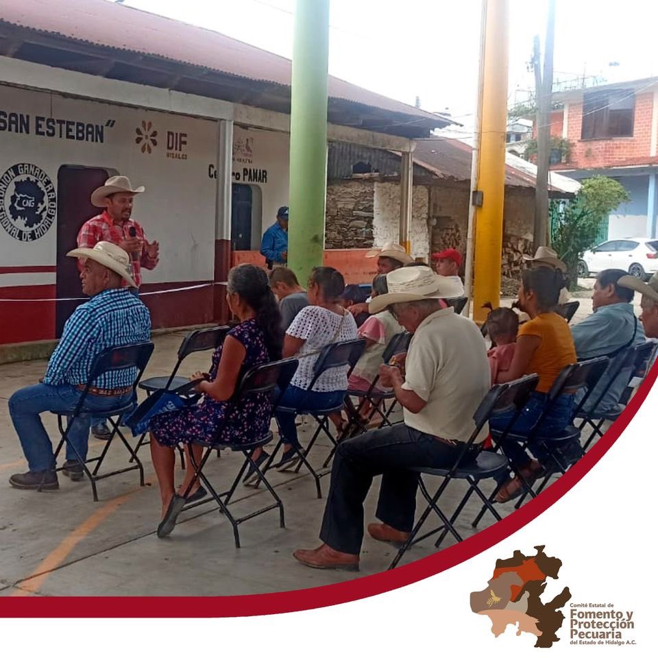 cefpphidalgo's tweet image. En representación del Mtro. Manolo Gabriel del Toro Valdés, Presidente de este Comité, el M.V.Z. Santiago Cerón, acudió a la inauguración del Centro Expedidor REEMO de la zona norte de Huehuetla, donde brindó la capacitación con el tema &quot;Movilización de ganado y REEMO&quot;.