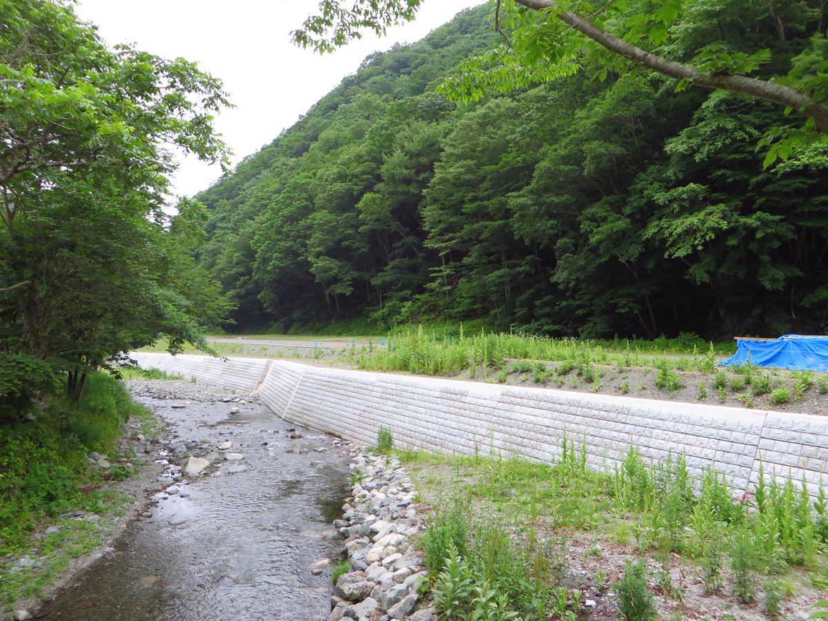 ちぃちゃん（♂） tweet media