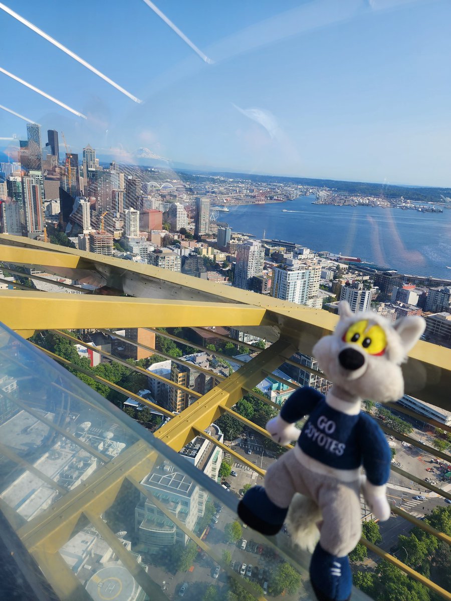 AVIDCoyotes's tweet photo. Coty took in the sites of Seattle from atop the Space Needle! He even laid on the glass bottom floor. Scary! #snowlineschools #snowlineschools #PinonHillsLovesYourFace #summerspiritfingers https://t.co/8mld7FJgt2
