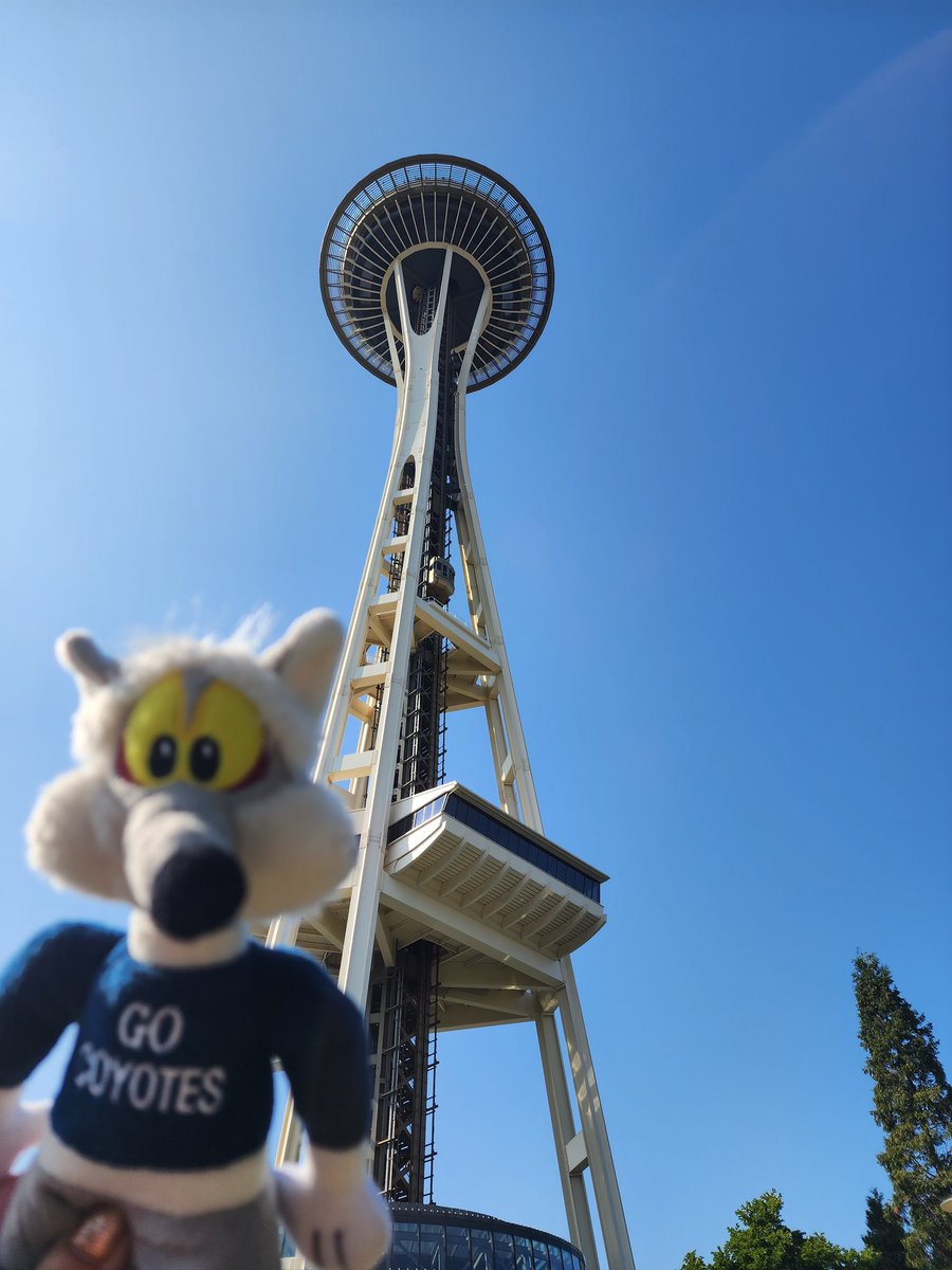 AVIDCoyotes's tweet photo. Coty took in the sites of Seattle from atop the Space Needle! He even laid on the glass bottom floor. Scary! #snowlineschools #snowlineschools #PinonHillsLovesYourFace #summerspiritfingers https://t.co/8mld7FJgt2