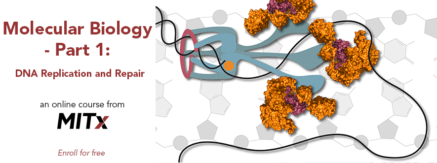 MITx Courses (@mitxcourses) on Twitter photo Did you know your cells synthesize enough DNA during your lifetime to stretch a lightyear in length? Discover this and more in Molecular Biology - Part 1: DNA Replication and Repair from <a href="/MITxBio/">MITx biology</a>. Starts July 11!
Learn more and enroll at bit.ly/3NHqPqN Did you know your cells synthesize enough DNA during your lifetime to stretch a lightyear in length? Discover this and more in Molecular Biology - Part 1: DNA Replication and Repair from <a href="/MITxBio/">MITx biology</a>. Starts July 11!
Learn more and enroll at bit.ly/3NHqPqN