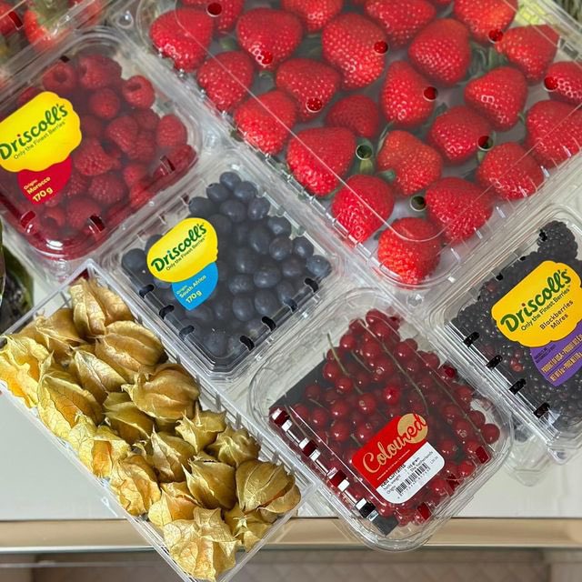 hashfruitsa's tweet photo. كل ال��صناف المميزة والطازجة اللي تعرفها واللي ماتعرفها نوفرها لك، جميع منتجاتنا المستوردة أو النادرة أو المحلية يتم جمعها لكم بشكل يومي لتصلكم طازجة وبجودة عالية.
#هاش_فروت #الرياض #البوسنة #الرييس_التنفيذي #فيلم_باربي #طلاق_هند_القحطاني #انريكي #الشهادة_الجامعية https://t.co/uz3yD9sDFP