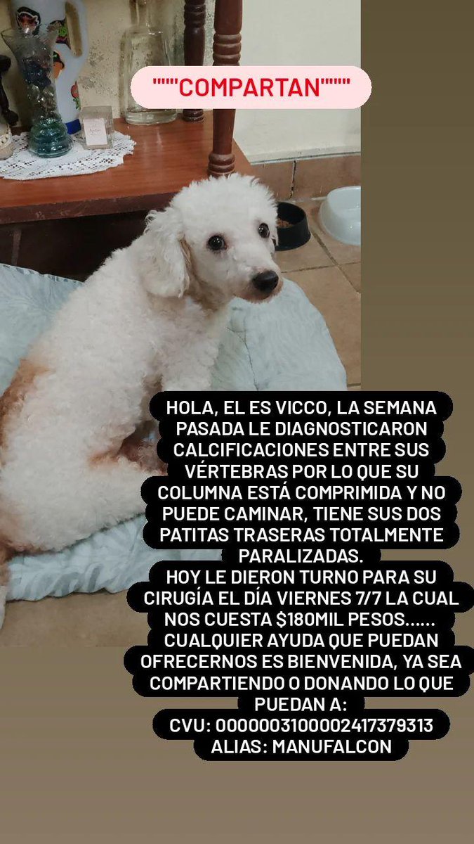 Compartan porfa 🙏