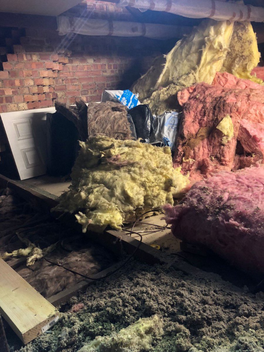 loftladderpros's tweet image. Let the experts at Home Counties Loft Ladders transform your loft space as we have done here🙂👏👌
Book your free loft ladder survey with us on 0808 301 9548 or online at homecountiesloftladders.co.uk/contact-us/
#freeloftsurvey #loftspace #loftstorage #loftboarding #loftladder