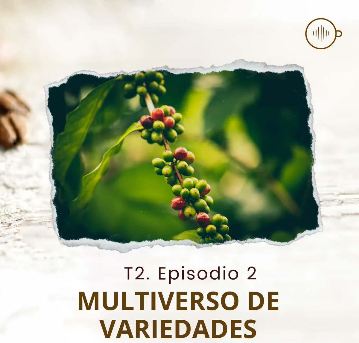 masqueunataza tweet media