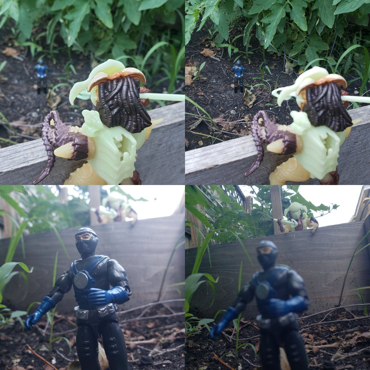 cracktasticpod's tweet photo. The hunt never ends! @OzstradamusToyz #thepfpn #cracktasticplastic #prednesday #kenner #kennerpredator #stalkerpredator #glowinthedark #gijoe #laserviper #cobra #predator #preddy #toyphotography #naturephotography #actionfigurephotography https://t.co/yANmdmtq2Y