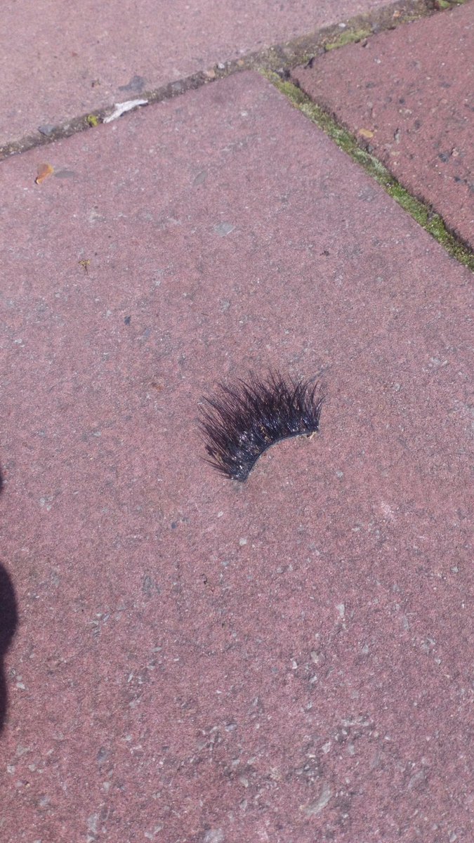 Joe Decie tweet media