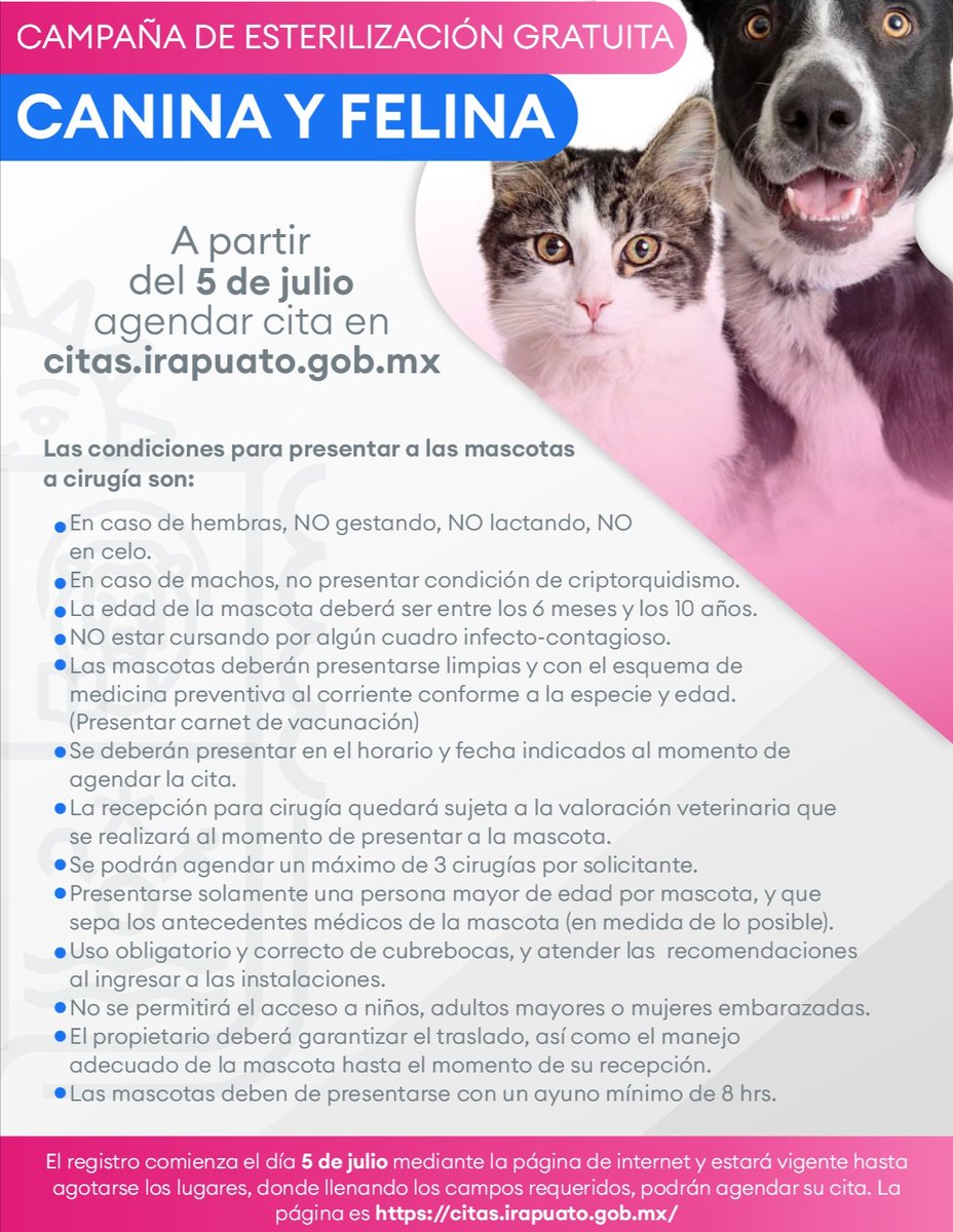 CANIrapuato's tweet photo. 🐾 ¡Tenemos Jornada de Esterilización Canina y Felina totalmente gratis! A partir de ahora y hasta agotar disponibilidad, puedes agendar tu cita en https://t.co/aSJl0ljXgn. Las cirugías serán a partir del 10 de julio en nuestras oficinas. ¡Agenda con oportunidad!

#CANIAmigos https://t.co/9HJcsf7xlx