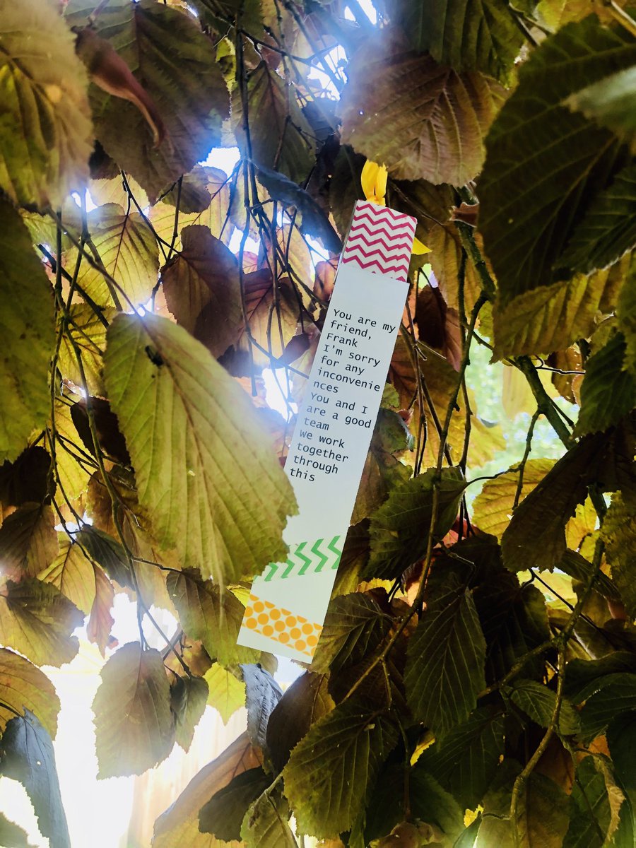 Warminster English (@warminstereng) on Twitter photo Our beautiful Max Gutmann memorial tree becomes our Poet-tree for the #summerfestival with work from yesterday’s @CraftDRap session and <a href="/WarminsterArt/">Warminster Art</a> Our beautiful Max Gutmann memorial tree becomes our Poet-tree for the #summerfestival with work from yesterday’s @CraftDRap session and <a href="/WarminsterArt/">Warminster Art</a>
