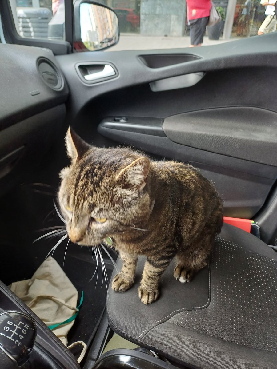 Para que me metere en estos jardines