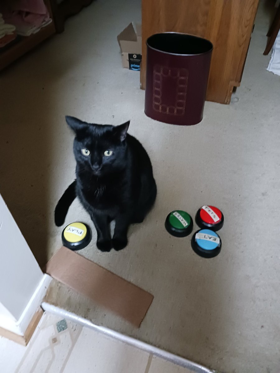 Dustersaurus's tweet photo. @JVA_writes Ripper (He moves the buttons around in case I didn't hear him). https://t.co/HvDVEqaxu1
