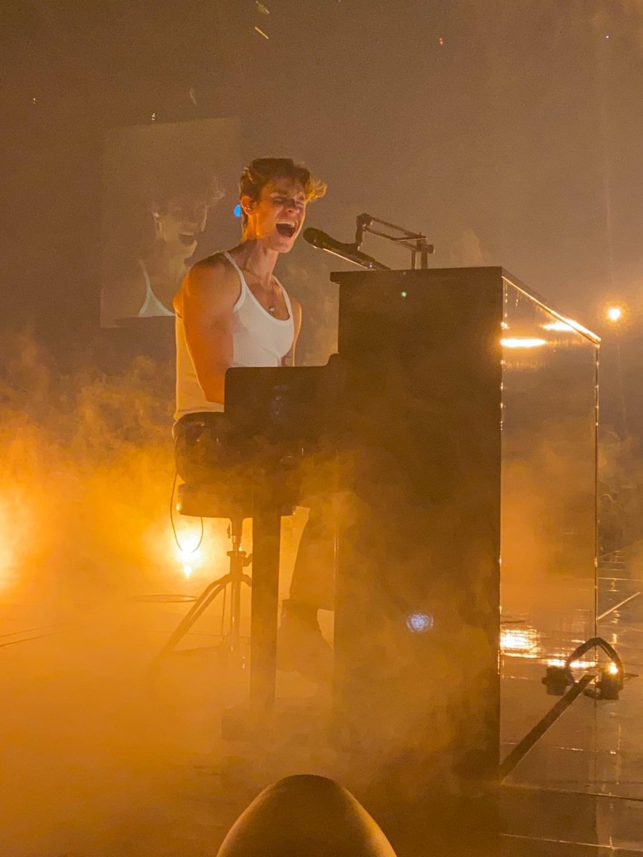 robbrowatzke's tweet image. How has it only been a year since The Wonder Tour? Ready to go again for sure. #MendesArmy