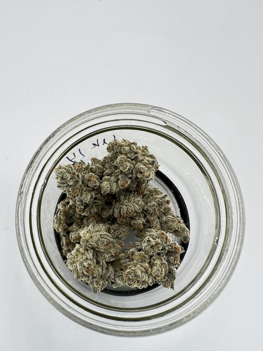 ccatlanticnl's tweet photo. We’re about to launch a new brand with exclusive cuts across Canada 🇨🇦 here is a sneak peek of one of the new cultivars going into it! We hit the Jackpot with this Gold Cash Gold🔥 wait until you see our Pure Michigan💨 can you guess the brand? 🥉🎢 https://t.co/gQFIhGW1hq