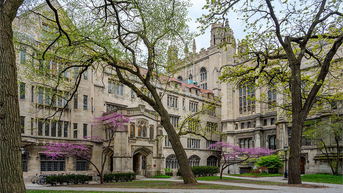 Sixteen UChicago faculty members receive named, distinguished service professorships dlvr.it/SrkBX8