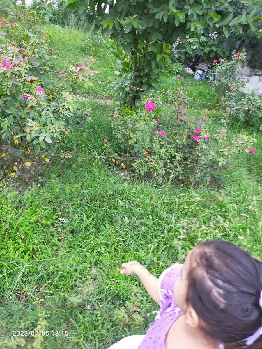 art1ista's tweet photo. raising a little girl is like growing a flower 🌿 #myniece #manOo https://t.co/KDl2ior3Kd