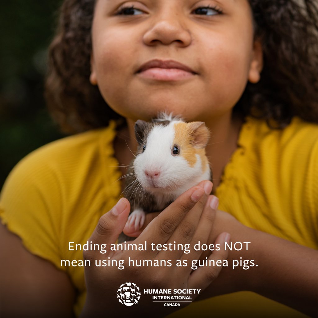 humaneworldcan's tweet image. Time to bust some myths. ❌  An end to cosmetics #animaltesting does not mean a start to painful experiments on humans. It means replacing outdated tests with modern methods like 3D bioprinting, #AI and computer modeling. 

It&apos;s a win-win for humans and animals!