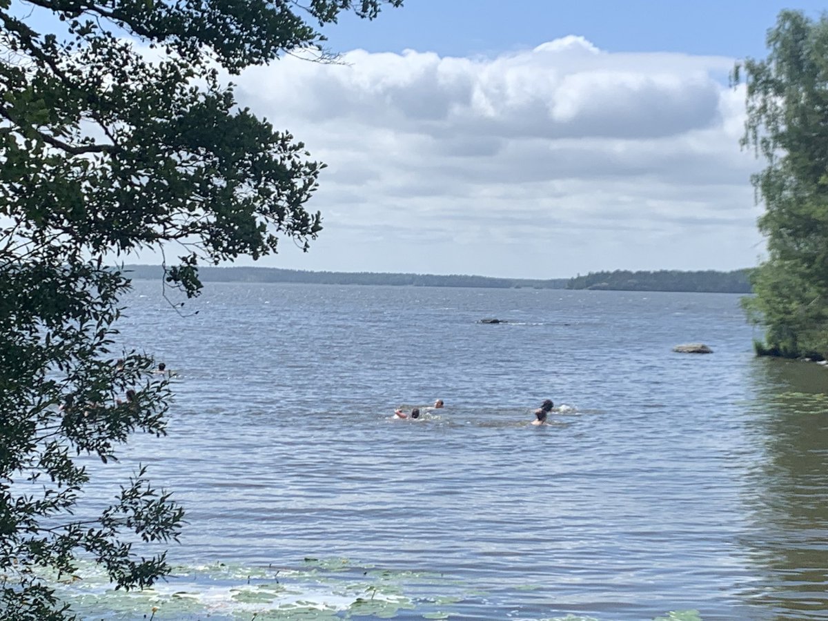 Purdue Fish Eco Lab tweet media