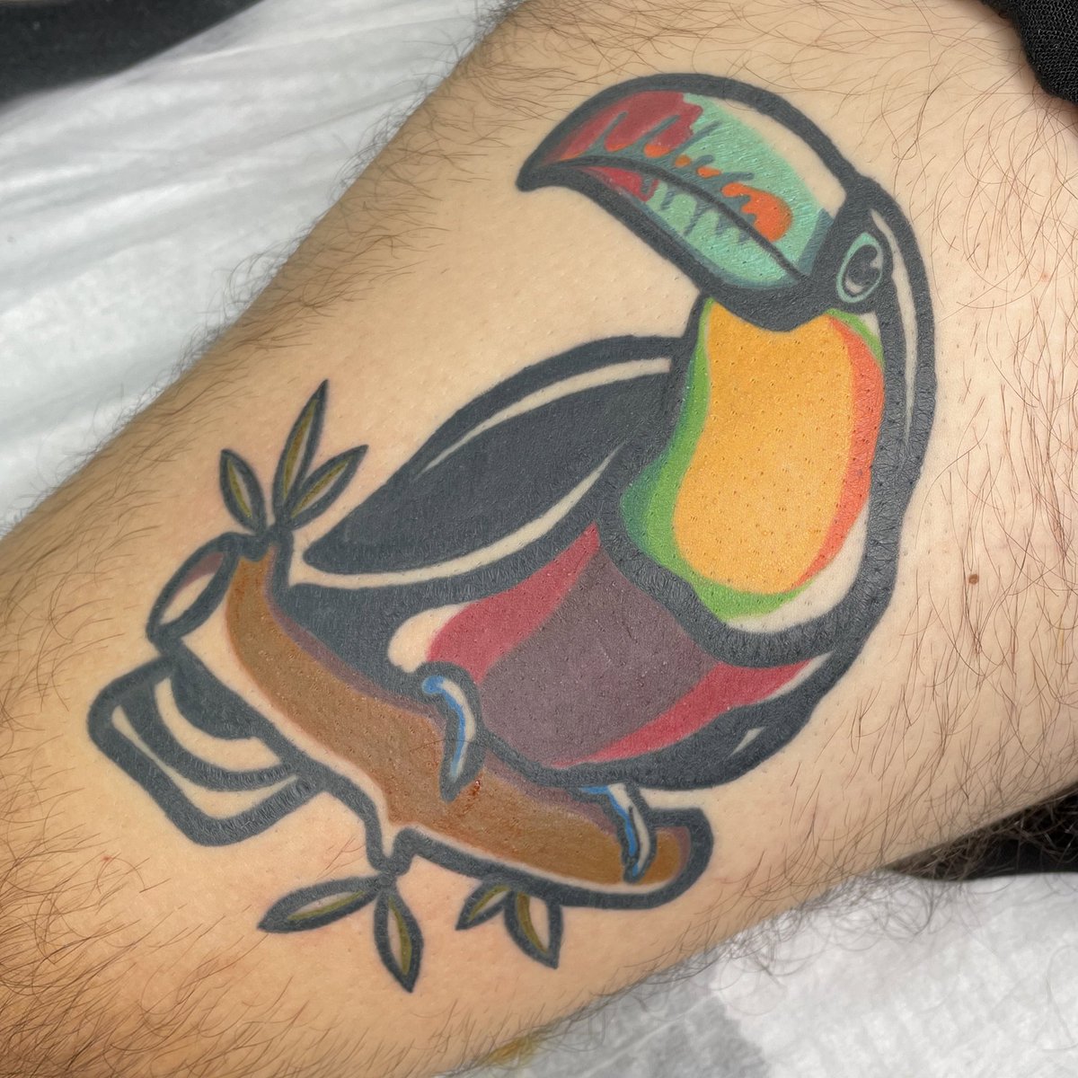rothiertattoo's tweet photo. Oiii eu que fiz 🥹❤️🙏 https://t.co/lziMjvldQc