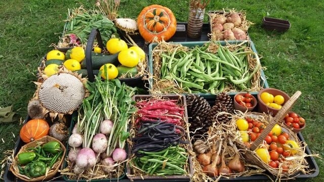 ChalleNGeNottm's tweet photo. Help Bulwell Forest Garden continue to do their amazing work providing healthy activities and food to their community by supporting their crowdfunder to pay for a warm and welcoming Garden Room.

Find out more
https://t.co/S731gXoaSH https://t.co/WIWRXjUPFv