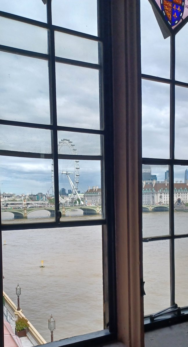 lucybmoore's tweet photo. A very moving event for #liedentity with young people's voices front and centre. View from the House of Lords River Room not bad either. Thank you for championing this vital work, @BishGloucester. https://t.co/i6q5Fz5efy