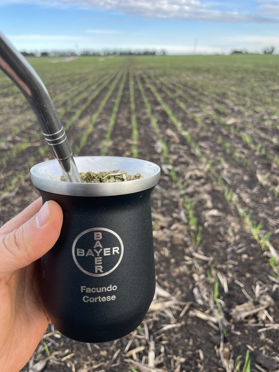 Gracias <a href="/AgroBayerAR/">Agro Bayer</a> por el presente!! Hubo que estrenarlo recorriendo ensayo #Iteros de #MatenoPlus 💪💪
