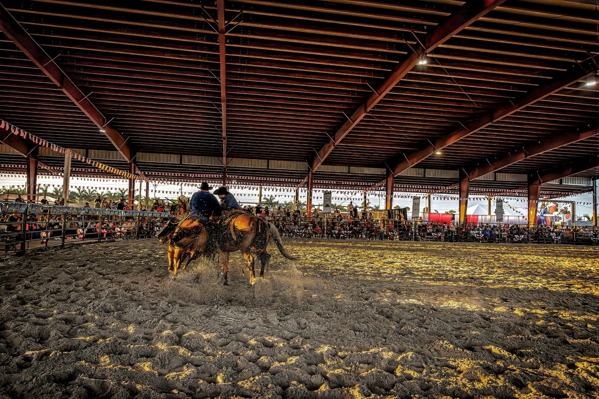 God bless the #USA
#RodeoUSA #IndependenceDay #RodeoLife #July4th #PatrioticRodeo #RodeoCelebration #USArodeo #RedWhiteBlue #CowboyPride
#canonphotography #teamcanon #r6markii #bellegladeflorida #belleglade