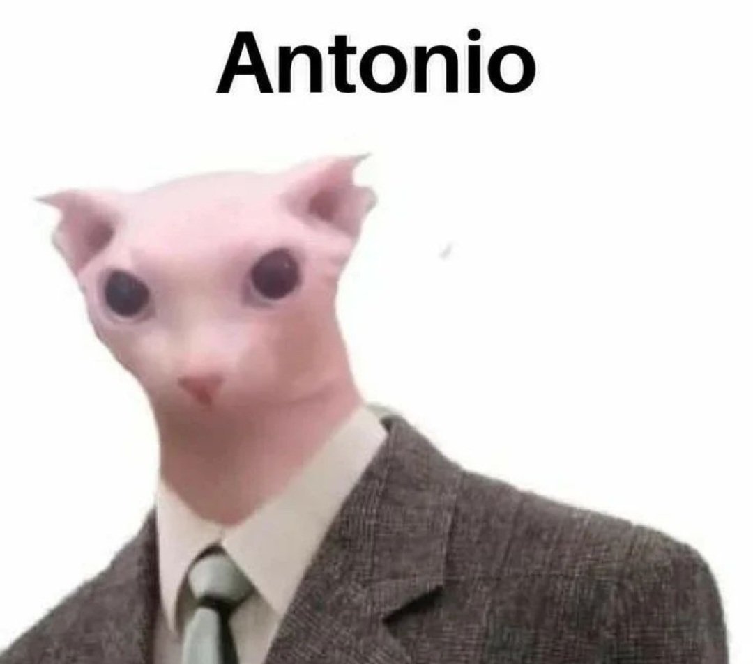 Breaking Point tweet media