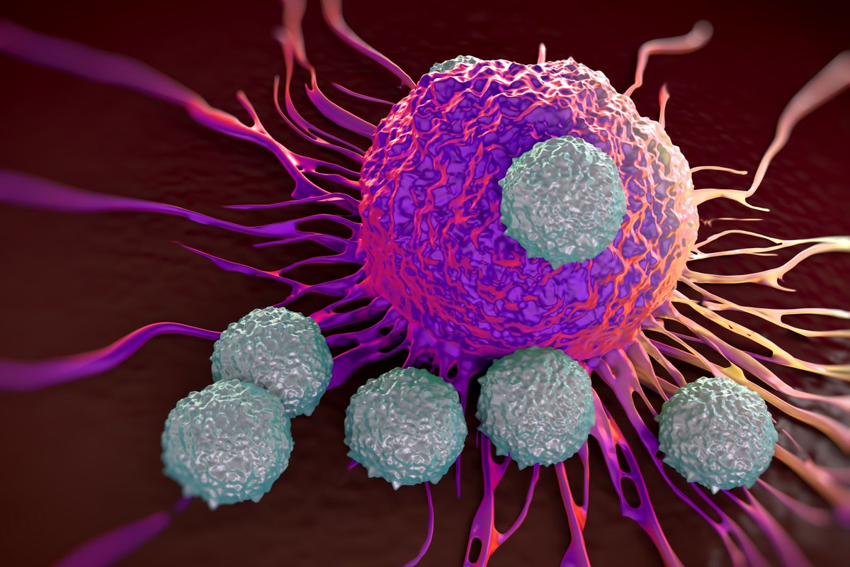 MITdeptofBE's tweet photo. Prof Darrell Irvine Lab's new vaccine boosts the response of engineered CAR-T cells and helps the immune system generate T cells that target other tumor antigens. https://t.co/VV3zGBYw4p @CellCellPress @LeyuanM @kochinstitute @ragoninstitute https://t.co/ndpVBl6FOU