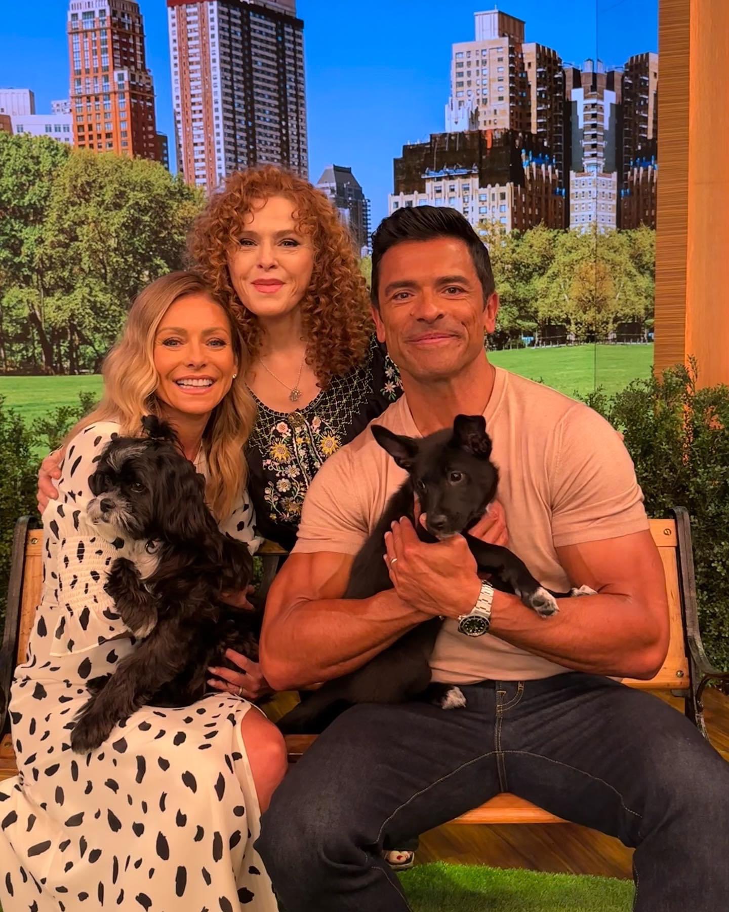 KellyMarkLive on Twitter "All the dogs on today’s show are up for
