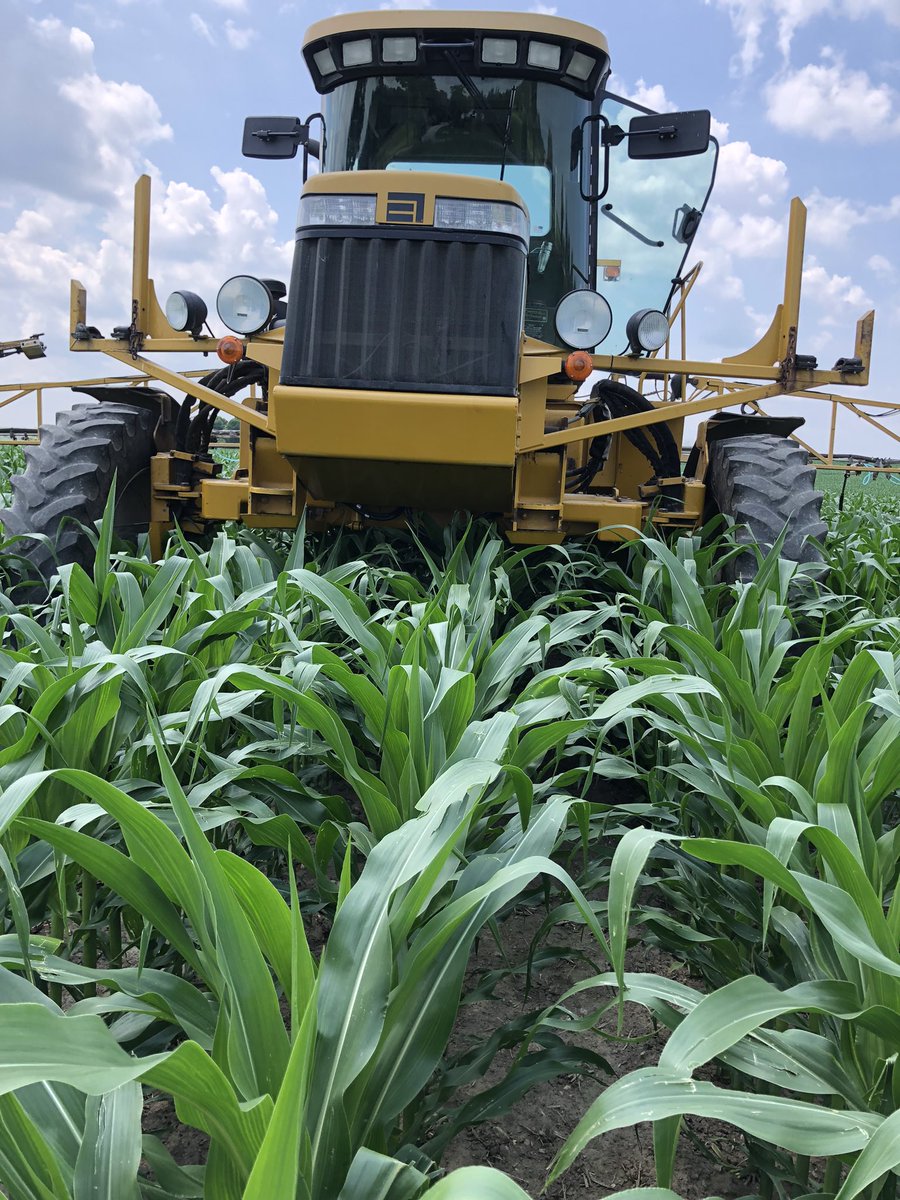 David Jibb tweet media