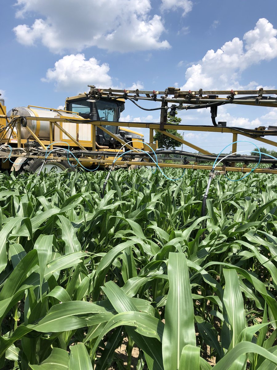 David Jibb tweet media