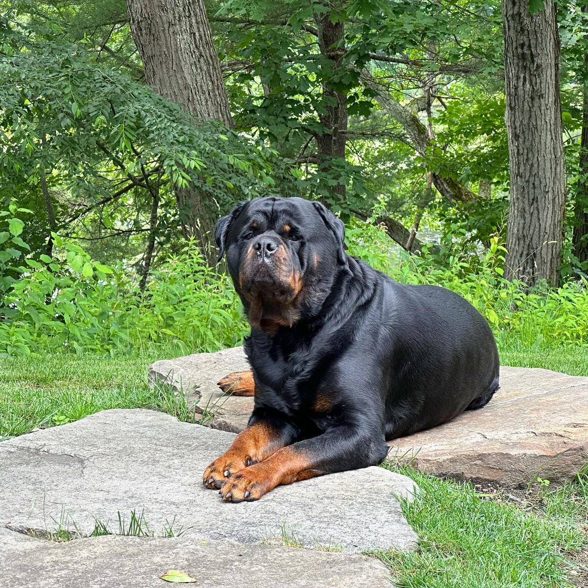 If you love this photo say Yes and retweet also 🥰