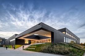 Lian Witteveen tweet media