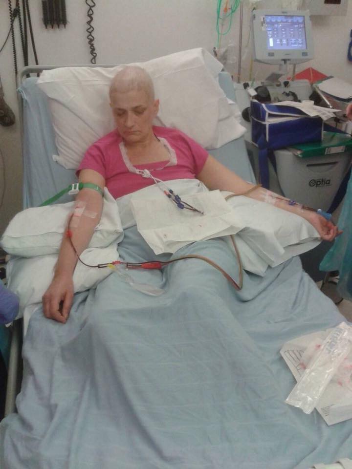 Lisa Gethen 💙 tweet media