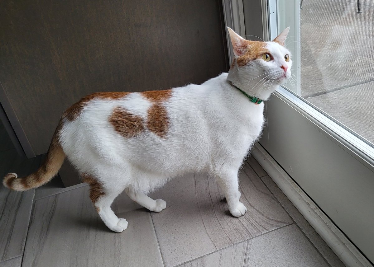 Busy Boy Floyd tweet media