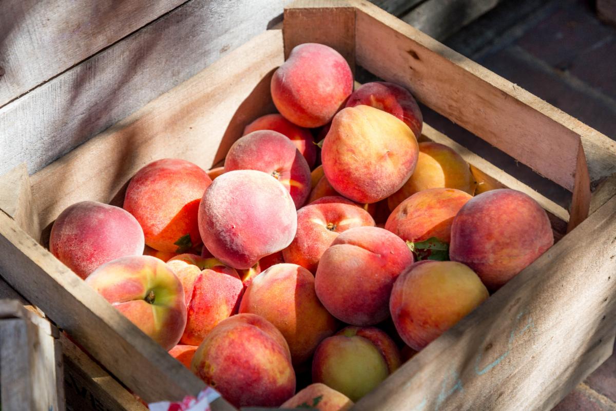 DarylMoss's tweet photo. Peach Season!
#eatforhealth #freshpeaches #goorganic #organicpeaches #wellness #eatseasonally #wellnessprogram #health #healthyrecipes #glutendairyfreerecipes #summerreboot #healthcoach #wellnesscoach #getbackontrack #weightloss 
https://t.co/Uu3DOA4Mzu
https://t.co/v6cGohaMit https://t.co/I8M7TXIkXi